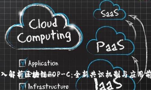深入解析区块链POP-C：全新共识机制与应用前景