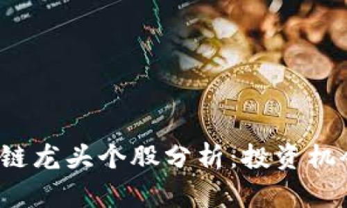 2023年区块链龙头个股分析：投资机会与前景展望