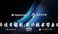 区块链国际项目解析：新兴技术带来的全球机遇