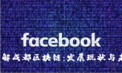  深入了解成都区块链：发展现状与未来趋势