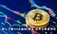 深入了解GiB区块链：特点、应用与前景分析