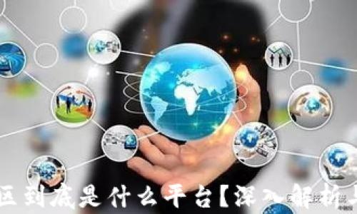 
区块链社区到底是什么平台？深入解析与未来展望