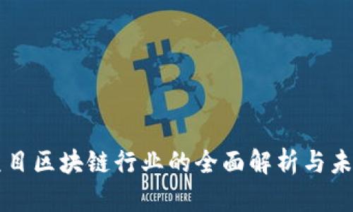 共享项目区块链行业的全面解析与未来展望