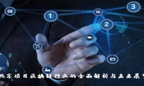 共享项目区块链行业的全面解析与未来展望