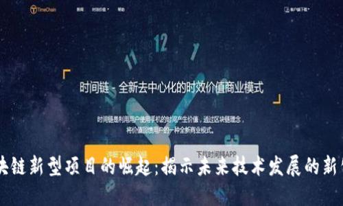 区块链新型项目的崛起：揭示未来技术发展的新公司