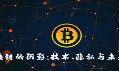 理解区块链的阴影：技术、隐私与未来的挑战