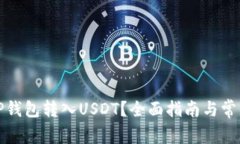 如何使用TP钱包转入USDT？全面指南与常见问题解