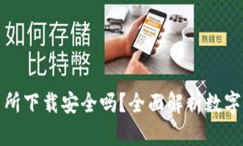 TP钱包交易所下载安全吗？全面解析数字资产安全性