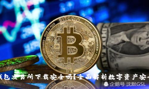 TP钱包交易所下载安全吗？全面解析数字资产安全性
