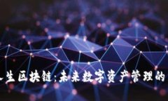 数字人生区块链：未来数字资产管理的新平台