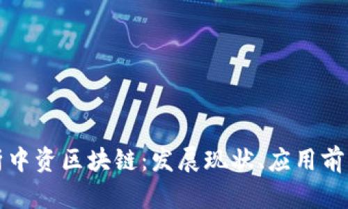 深入解析中资区块链：发展现状、应用前景与挑战