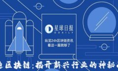 启迪区块链：揭开新兴行业的神秘面纱