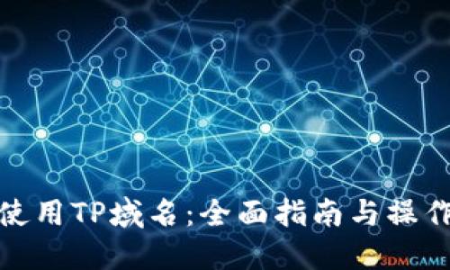 如何使用TP域名：全面指南与操作步骤