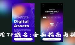 如何使用TP域名：全面指南与操作步骤