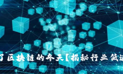 是什么造就了区块链的冬天？揭秘行业低迷背后的原因