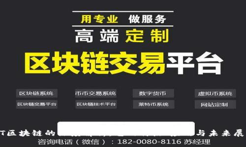 NT区块链的深度解析：它的特点、应用与未来展望