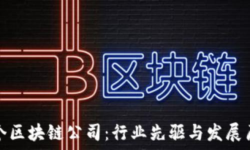   
韩国首个区块链公司：行业先驱与发展历程详解