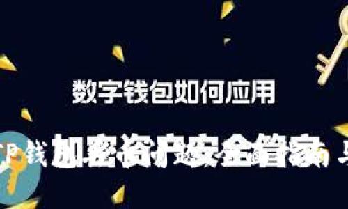 如何处理TP钱包丢币问题：全面指南与解决方案