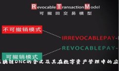 区块链DNC的含义及其在数字资产管理中的应用