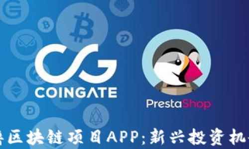 
深入了解零撸区块链项目APP：新兴投资机会与风险分析