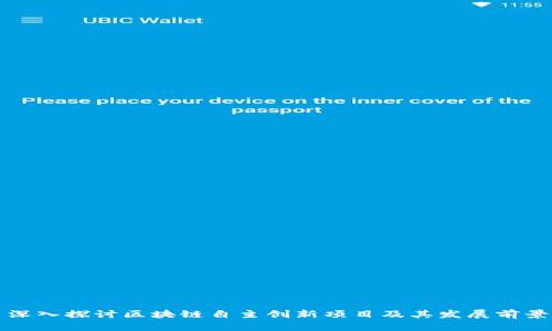 深入探讨区块链自主创新项目及其发展前景