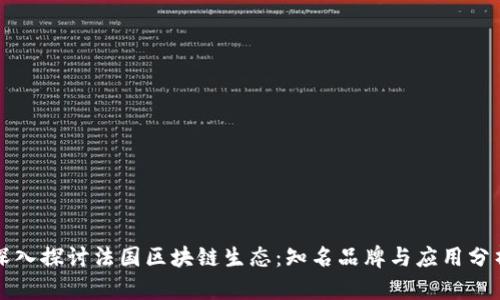 深入探讨法国区块链生态：知名品牌与应用分析