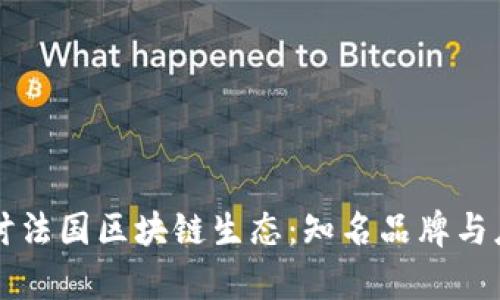深入探讨法国区块链生态：知名品牌与应用分析