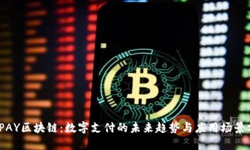 : IPAY区块链：数字支付的未来趋势与应用场景分析