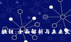 小蚁区块链：全面解析与未来发展前景