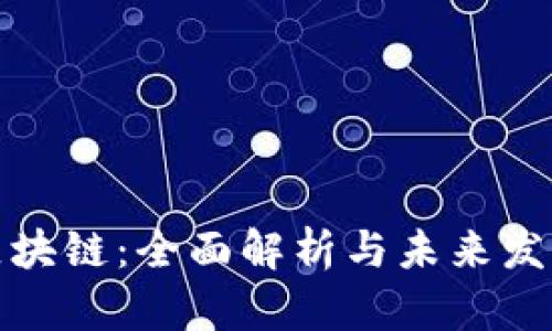 小蚁区块链：全面解析与未来发展前景