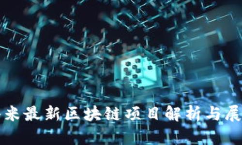 小米最新区块链项目解析与展望