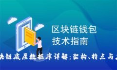 区块链底层数据库详解：架构、特点与应用