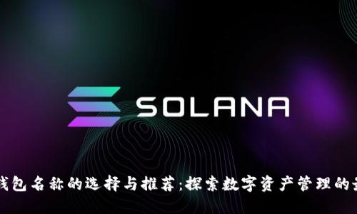 区块链钱包名称的选择与推荐：探索数字资产管理的最佳实践