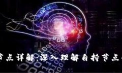 区块链自持节点详解：深入理解自持节点的概念
