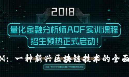 ACDM: 一种新兴区块链技术的全面解析