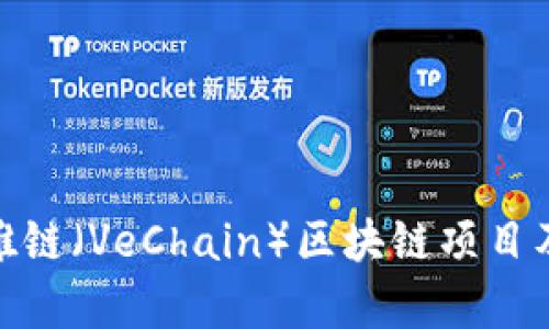 : 深入了解唯链（VeChain）区块链项目及其应用前景