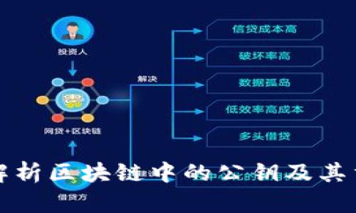 深入解析区块链中的公钥及其重要性