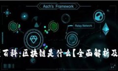 秒懂百科：区块链是什么？全面解析及应用