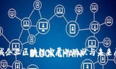 石城企业区块链发展的现状与未来展望