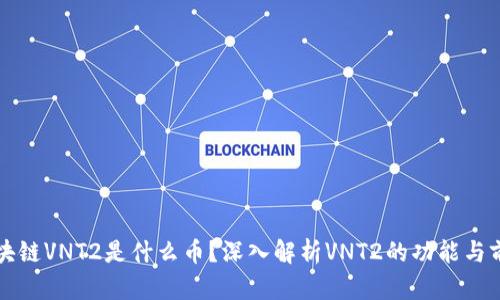 区块链VNT2是什么币？深入解析VNT2的功能与前景