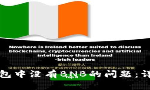 如何解决TP钱包中没有BNB的问题：详细指南与解答