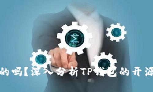 TP钱包是开源的吗？深入分析TP钱包的开源特性与安全性