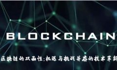 区块链的双面性：机遇与挑战并存的技术革新