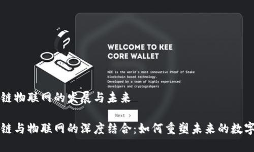 区块链物联网的发展与未来

区块链与物联网的深度结合：如何重塑未来的数字生态