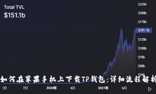 如何在苹果手机上下载TP钱包：详细流程解析