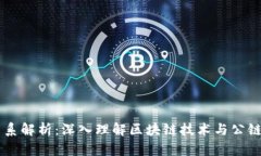 区块链与公链的关系解析：深入理解区块链技术