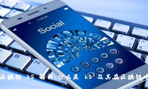 祝雪娇区块链 kS 解析：什么是 kS 及其在区块链中的应用