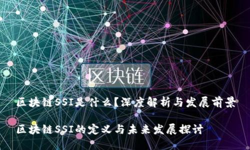 区块链SSI是什么？深度解析与发展前景

区块链SSI的定义与未来发展探讨