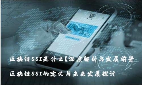 区块链SSI是什么？深度解析与发展前景

区块链SSI的定义与未来发展探讨