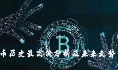 TOP币历史最高价分析及未来走势预测